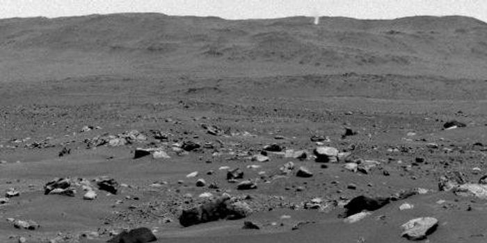 Martian Weather Watch: Perseverance Rover's Dust Devil Time-Lapse