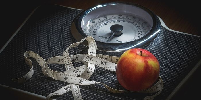 Revealing Fat's Role in Diabetes Development