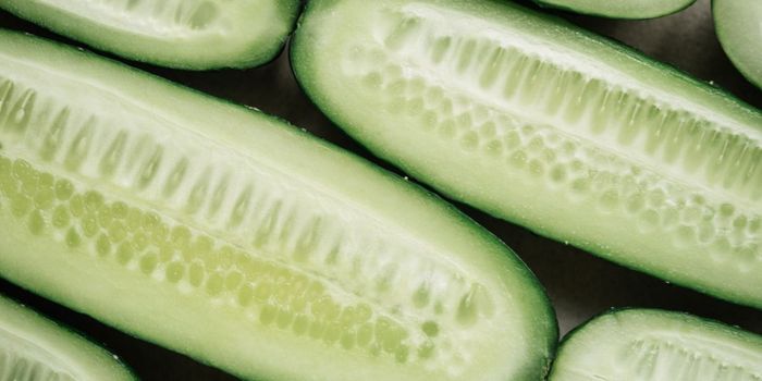 Low-dose Lithium Has Anti-aging Effects on Liver