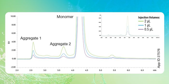 Unlocking the Potential of SEC: Beyond Aggregate Characterization - Exploring AAVs Identification and Degradation Studies