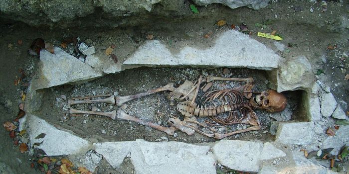 Not All Vikings Were Scandinavian, New Genetic Research Shows