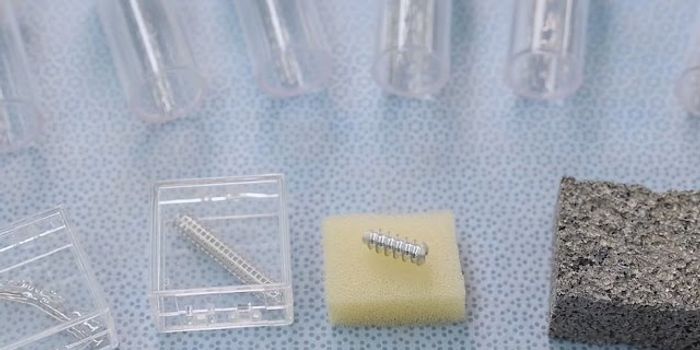 Scientists Develop Dissolving Metal Implants
