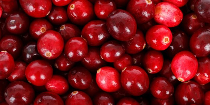 Pass the Cranberries- They Just Might Help Prevent Cancer