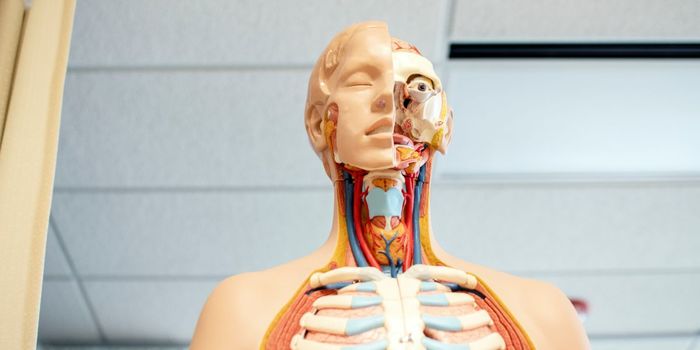 FDA Approves HPV Vaccine to Prevent Throat Cancer