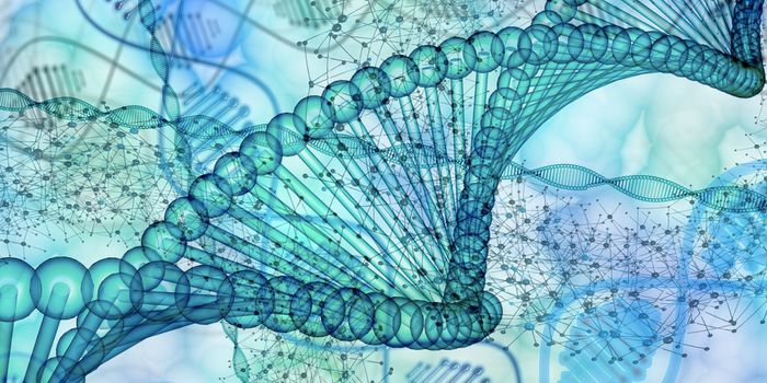 Revealing the Genome Carried by the Common Ancestor to all Mammals