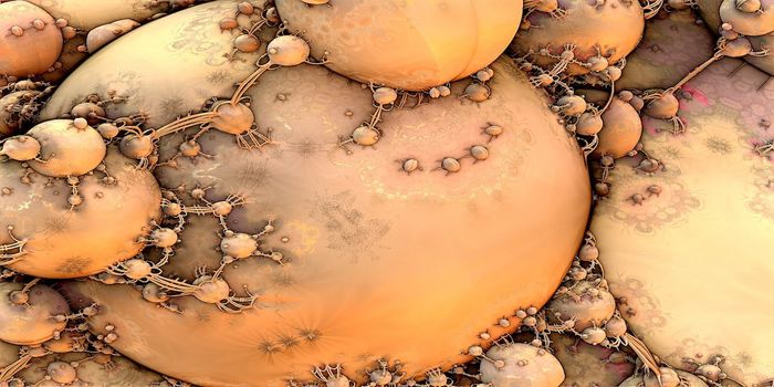 Chromosomes Exist in a Liquid-Solid Transistion State