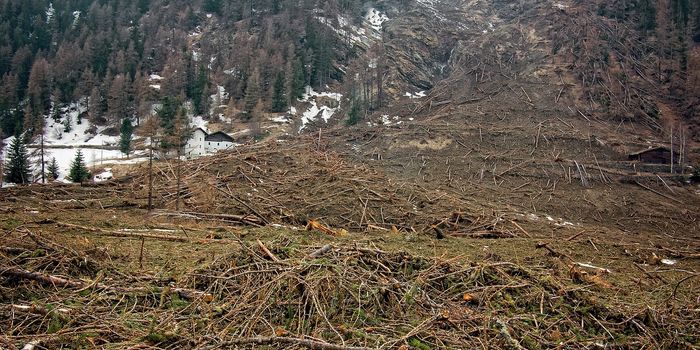 Landslides can have a major impact on glacier melt and movement