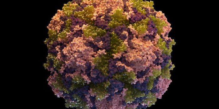 How Viruses Keep the Infection Going