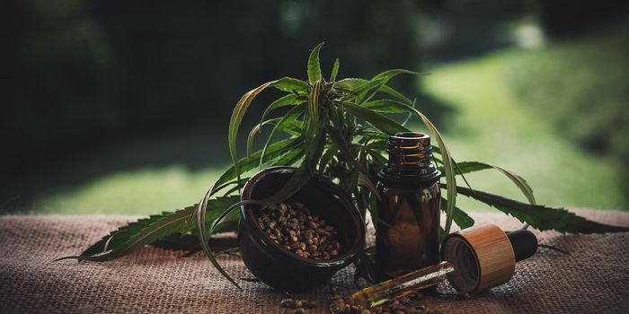 CBD Shows Promise Against Skin Cancers and Pigmentation Disorders