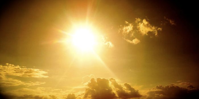 Vitamin D Raises Number of Blood Stem Cells During Development