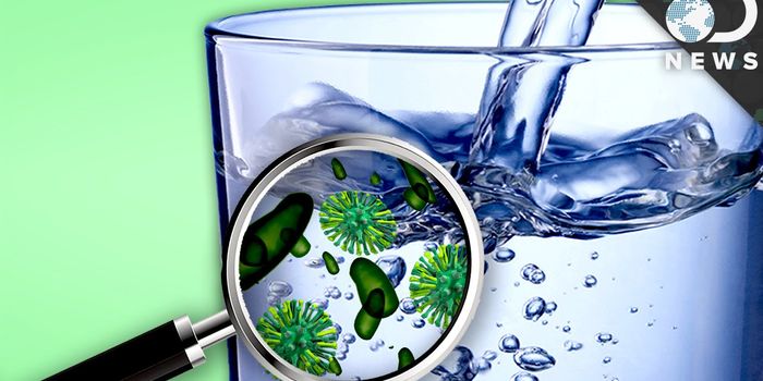 All Kinds of Bacteria Are Present in Your Drinking Water