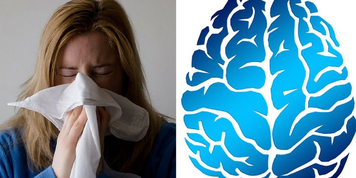 Asthma and Hay Fever Raise the Risk of Psychiatric Disorders