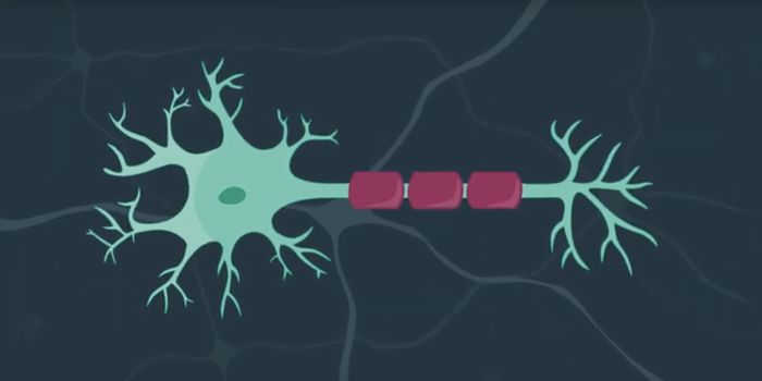 Advances in Our Understanding of Huntington's Disease