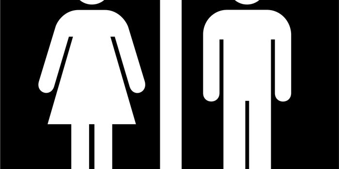 Specific Immune Pathway Promotes Brain Cancer in Females
