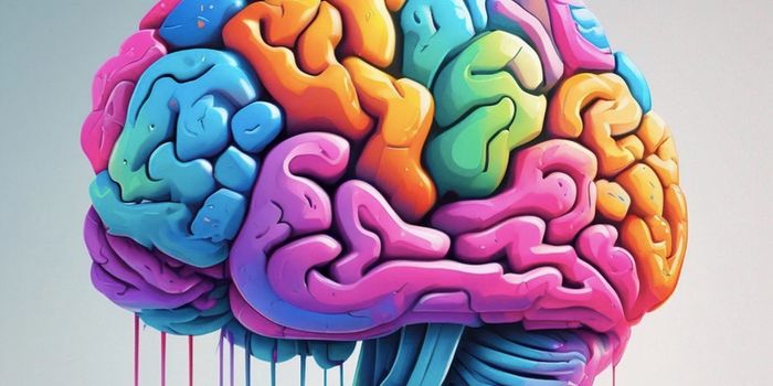 Understanding The Genetic Mechanisms of Brain Asymmetry