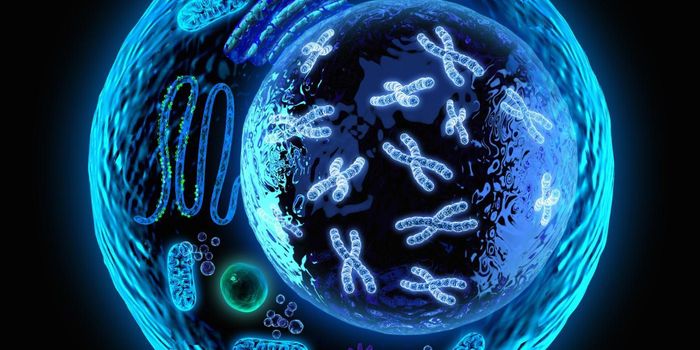 Scripps Florida Scientists Expand Toolbox to Study Cellular Function