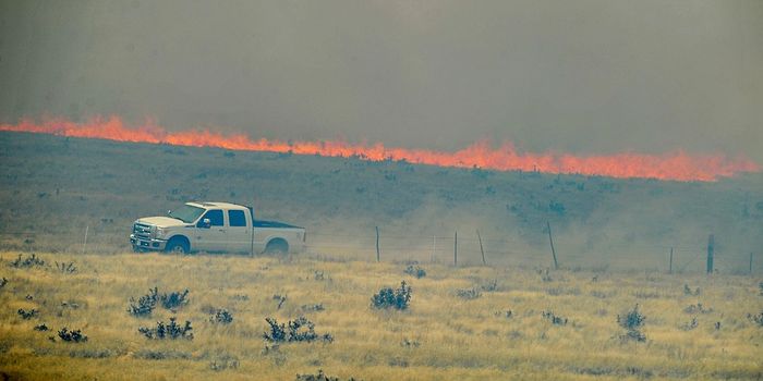 Viewpoint Fire rips through northern AZ