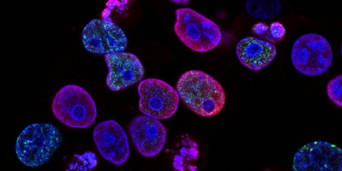 Trial Drug Successfully Blocks COVID-19 from Entering Cells