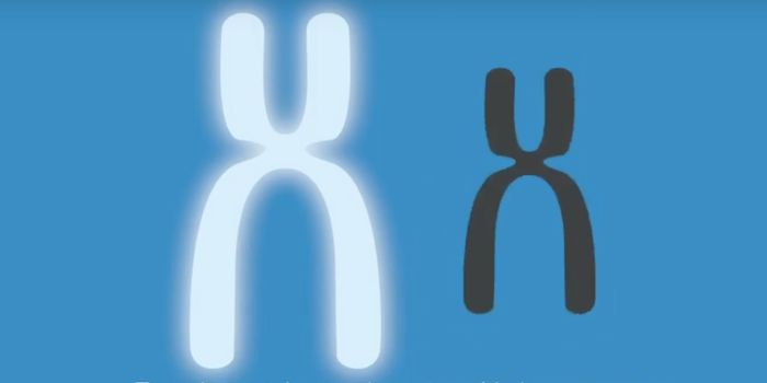 Women's Genes May Help Protect Against the Worst Alzheimer's Cases