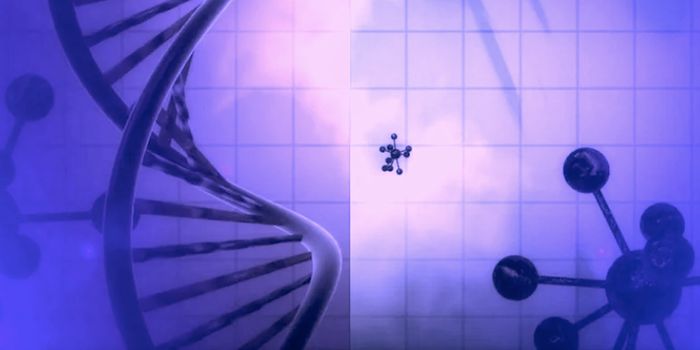 A Novel Mechanism of Gene Regulation is Revealed