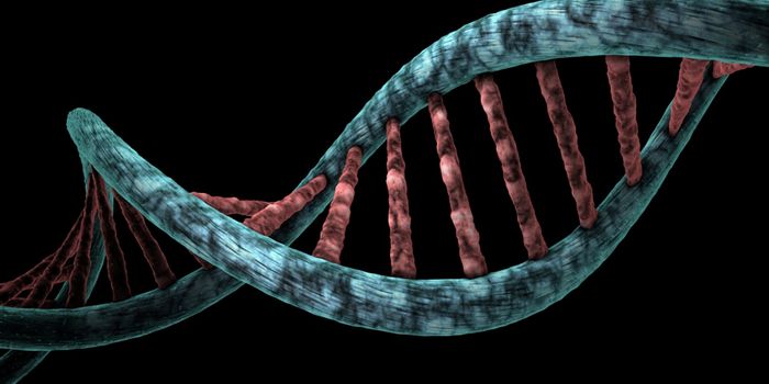 DNA Regulation Drives Antibody Diversity