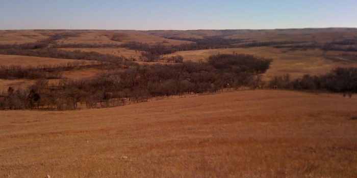 Messy, Diverse Soil Microbiome is Partially Characterized