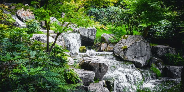 Climate Change Is Making Freshwater Food Chains More Toxic