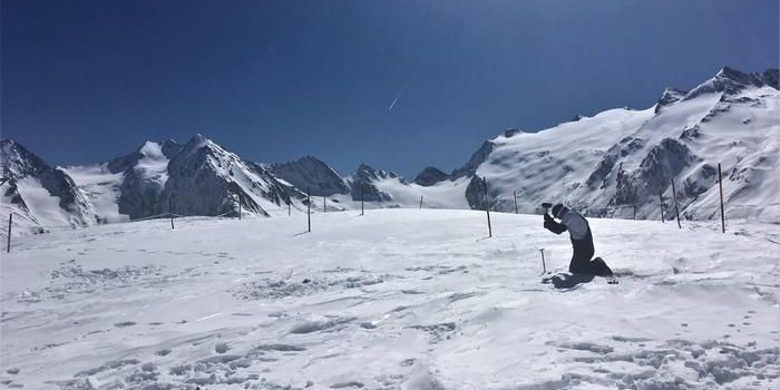 Impacts of Reduced Snow Cover and Shifting Vegetation Patterns on Alpine Biodiversity