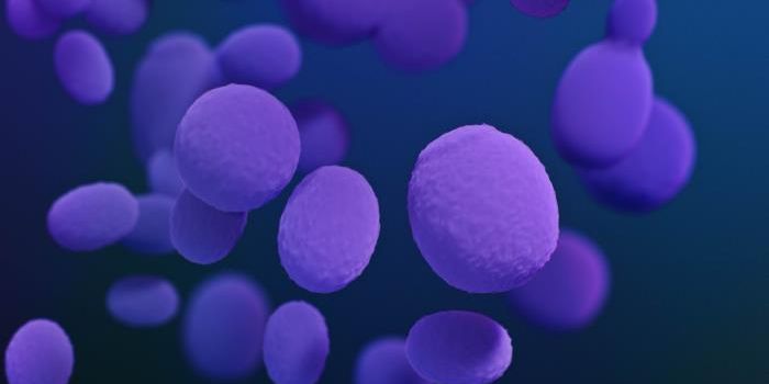 Scientists Engineer a New, Safer Antifungal Drug