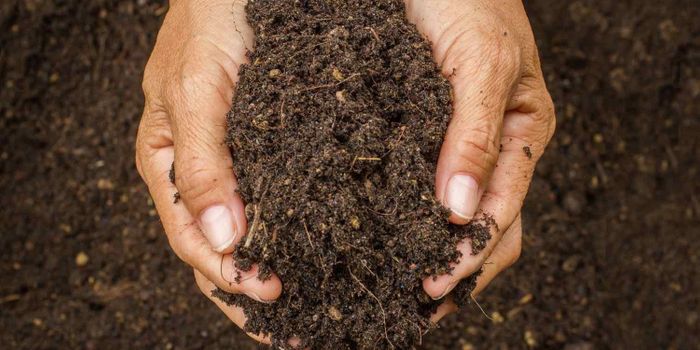 Let's cool down the soil