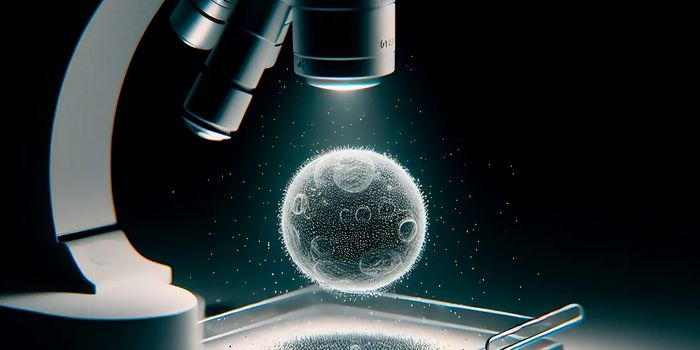 Novel Protein Found to Have Dual Function Associated with Tumor Progression