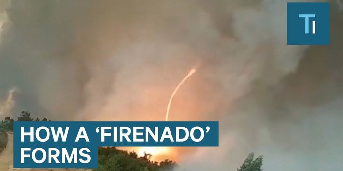 Here's Everything You Need to Know About 'Firenados'