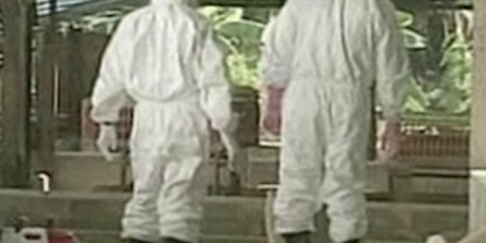 Nipah Virus Outbreak in India Kills 17