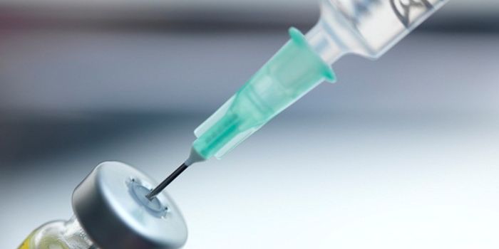 Pharmacological Strategy Attempts To Treat Multiple Symptoms of Fragile X