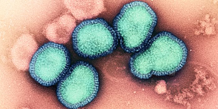 Concerning Mutations Arise in a Type of Bird Flu