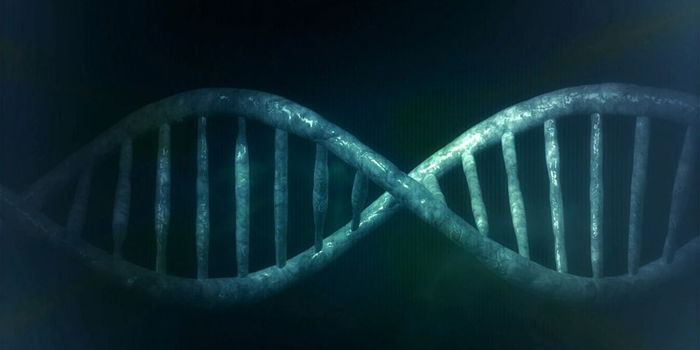 Promising New Treatment for Mitochondrial Disease Found in Fruit Flies