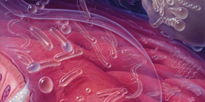 Popular Food Additive May Spur Obesity, Metabolic Syndrome