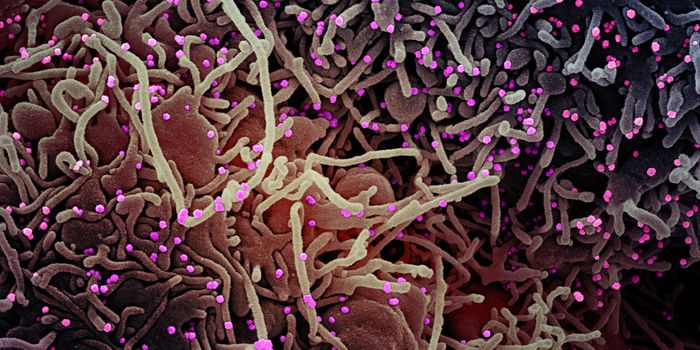 'Silent' Mutations Might Have Given SARS-CoV-2 an Edge