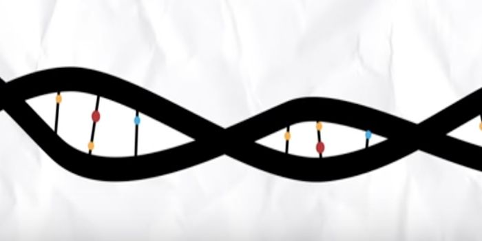 Errors in the Nuclear Envelope Linked to Microcephaly