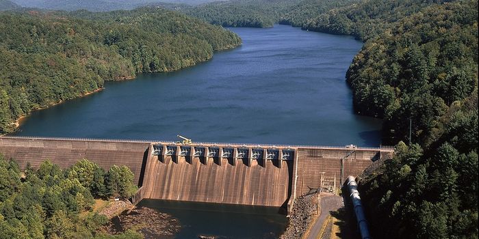 Scientist swims Tennessee River and finds unprecedented plastic pollution