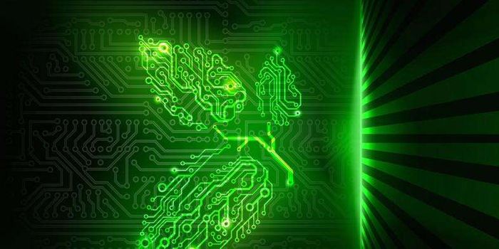 Turning Plants Into Power Generators