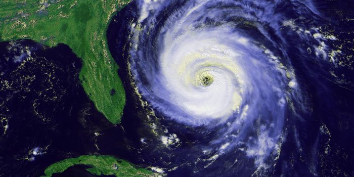 Predicting Which Storms Become Hurricanes
