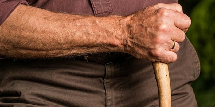 How Neurotransmitter Function Impacts Parkinson's Disease