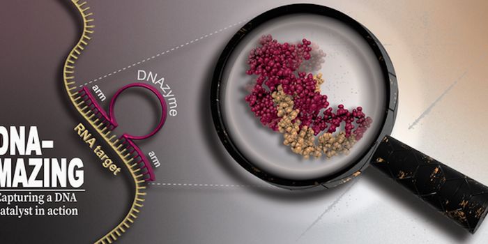 DNAzymes: Catalytic DNA Molecules with Therapeutic Potential