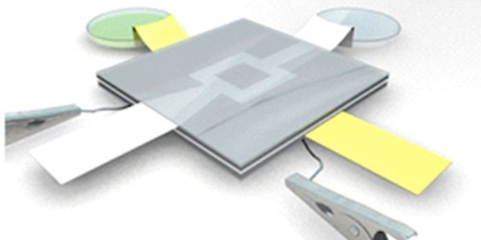 Scientists Invent Microbial Fuel Cell That Runs for 5 Days