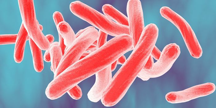 New drugs for an old bug