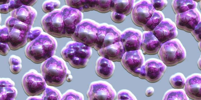 A Gut Microbe That Can Help Control Cholesterol Levels