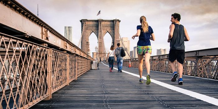 How Exercise Can Affect Blood Chemistry