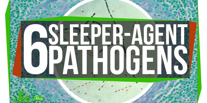 6 Pathogens That Are Silently Killing You