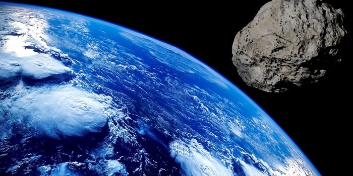 Did Asteroids Bring Life to Earth?